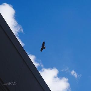 国产男男GayFuCK激情酒店
