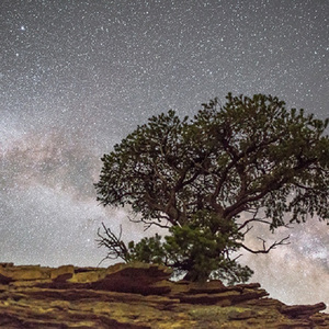 国产男男GayFuCK激情酒店
